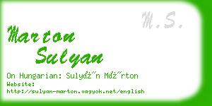 marton sulyan business card